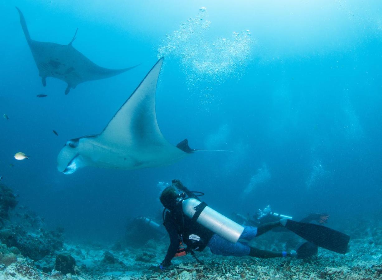 South Ari Dive Center Hotel Dhangethi Luaran gambar