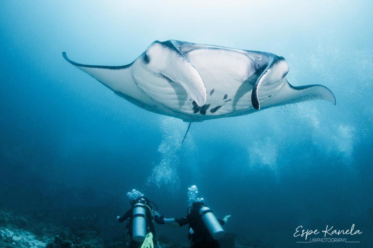 South Ari Dive Center Hotel Dhangethi Luaran gambar