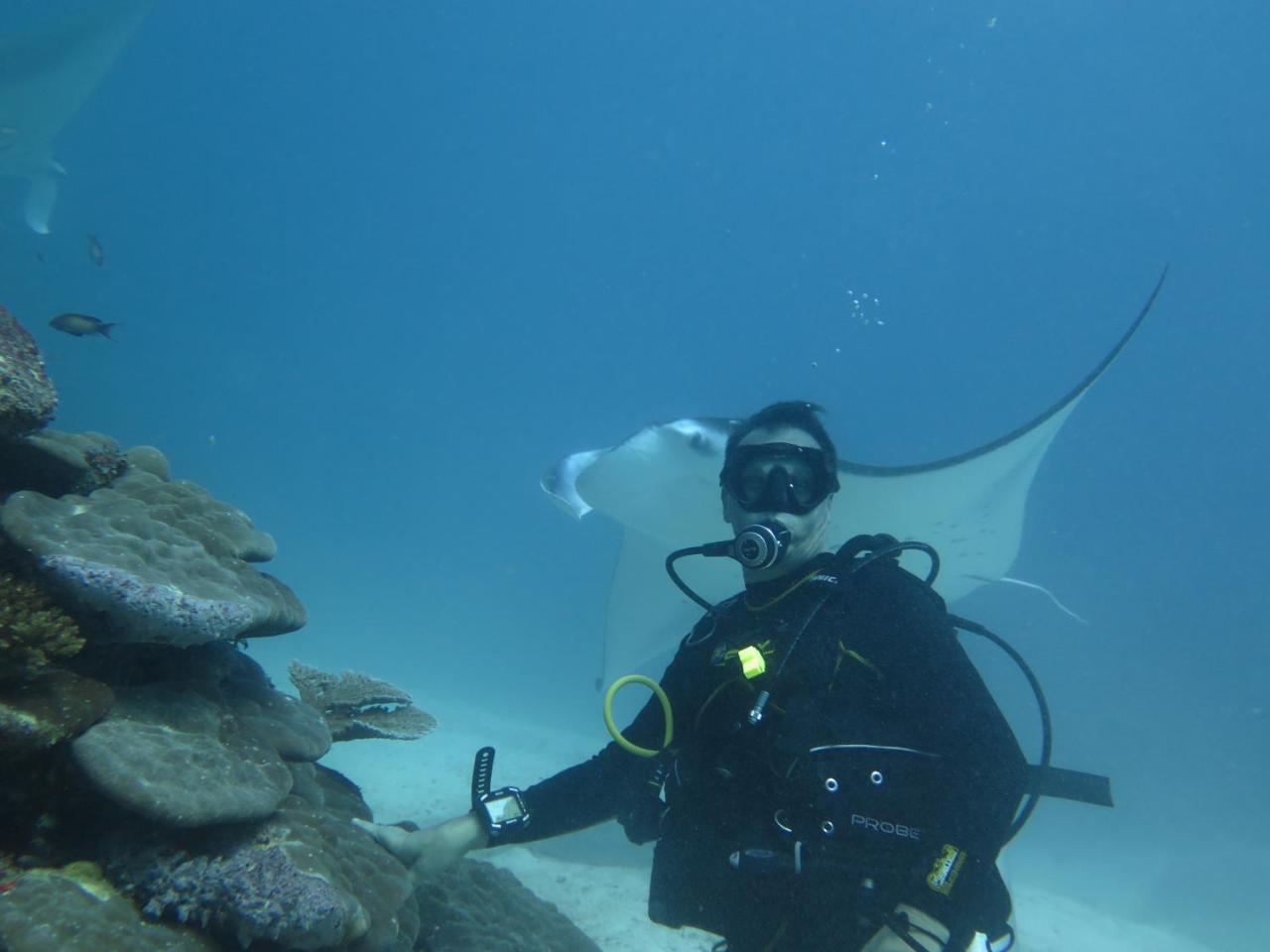 South Ari Dive Center Hotel Dhangethi Luaran gambar