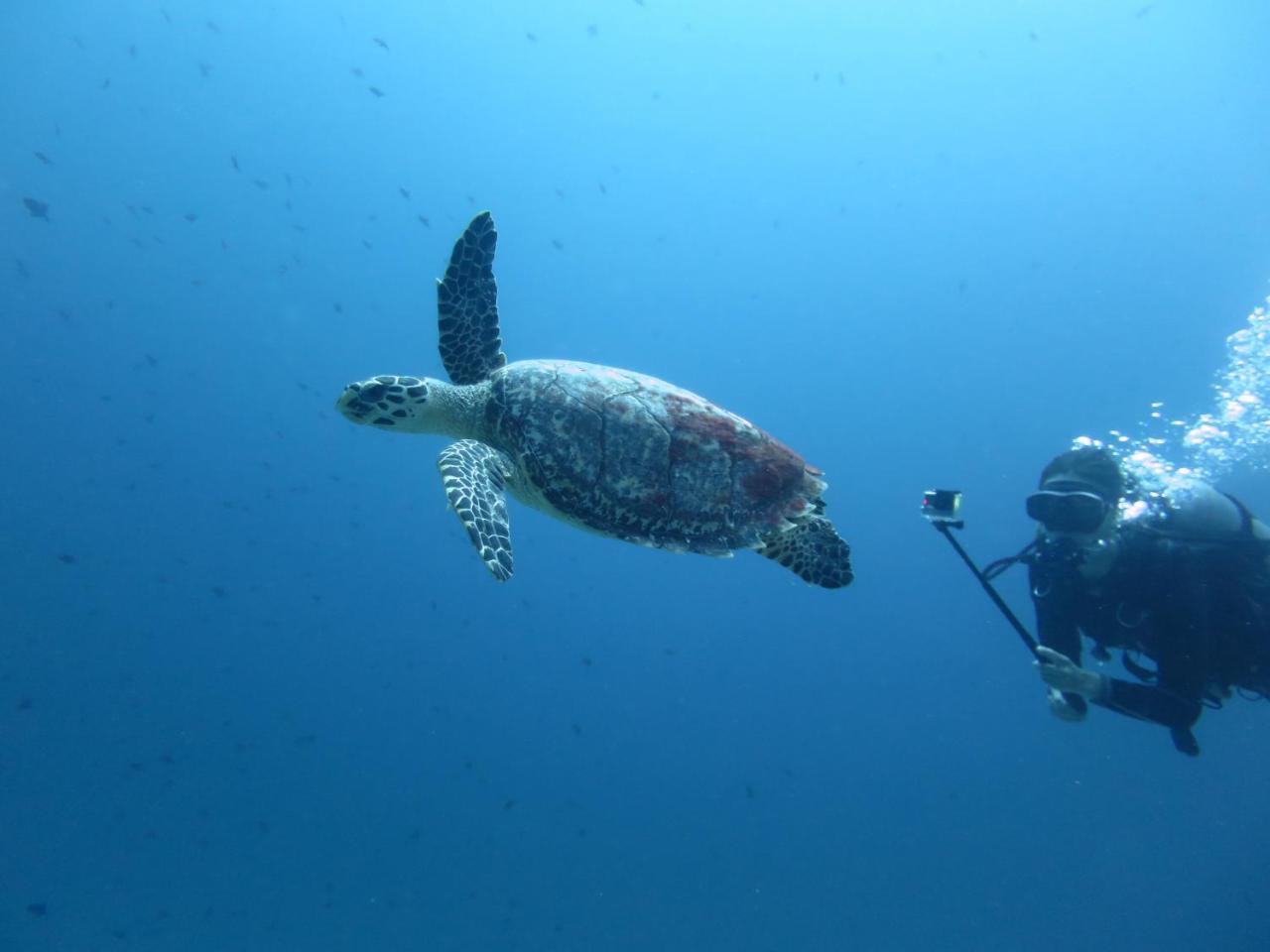 South Ari Dive Center Hotel Dhangethi Luaran gambar