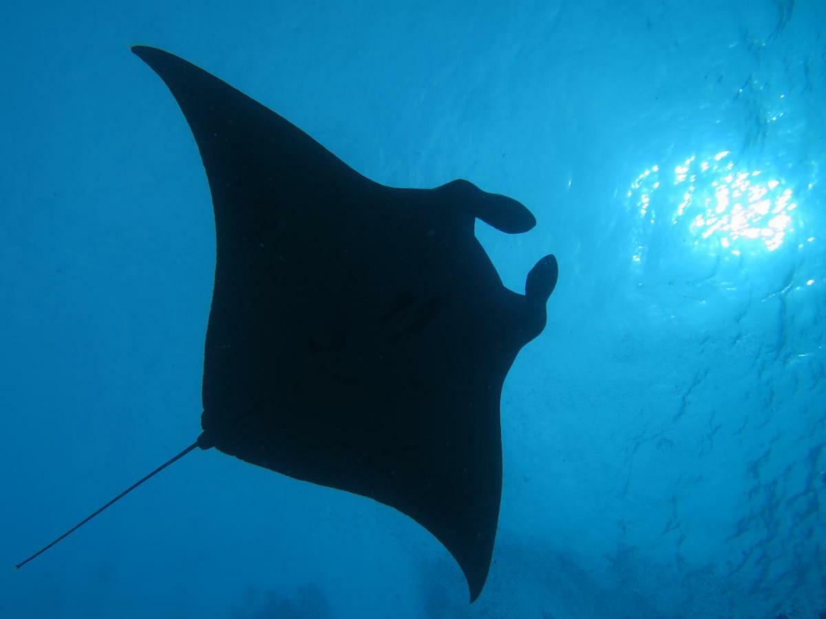 South Ari Dive Center Hotel Dhangethi Luaran gambar